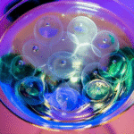 Calcium - Sphérification Cocktail - 200g