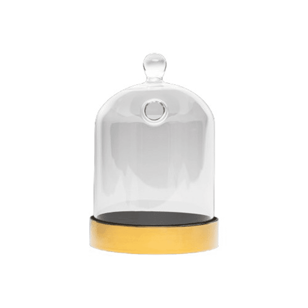 Petite cloche en verre avec socle doré